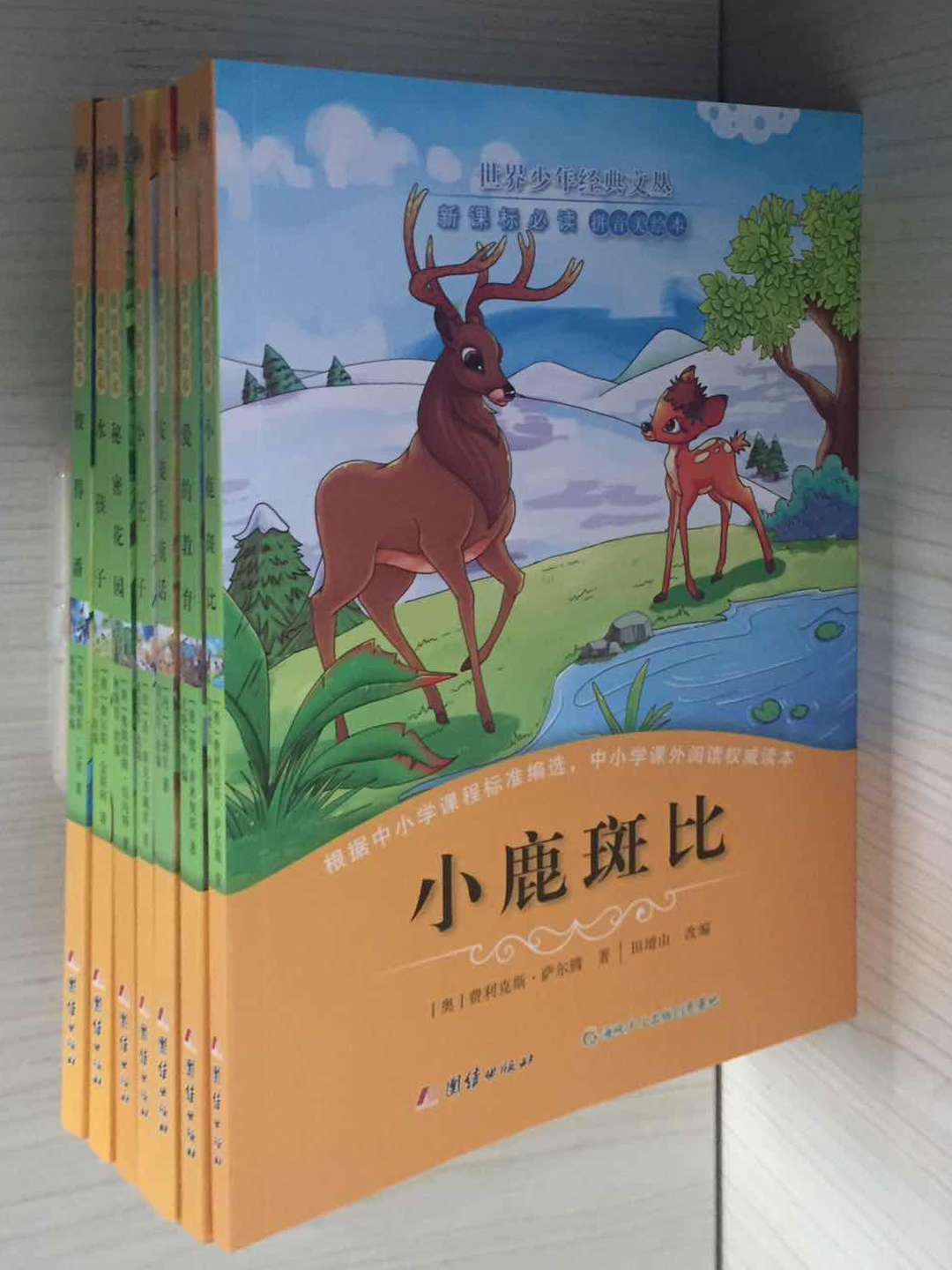 小(xiǎo)鹿斑比1